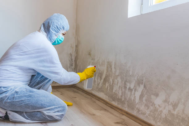 Hvac And Air Duct Mold Remediation inspection of HVAC system in Hudson